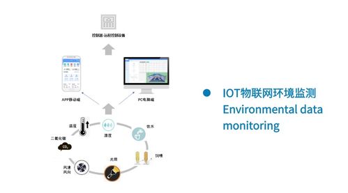 雞場智能物聯網解決方案 全面打造生物安全智慧防線